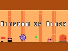 Kingdom of Ninja